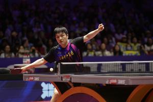 弗朗西斯卡：我们会好好照顾他的，我会把樊振东捧在手上