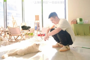 之公益！xiaohu发文：让领养代替购买关爱流浪小动物