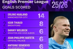 本赛季英超进球榜：哈兰德14球居首，维尔贝克、姆伯莫在列